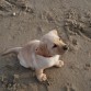 La playa por primera vez, con dos meses y medio